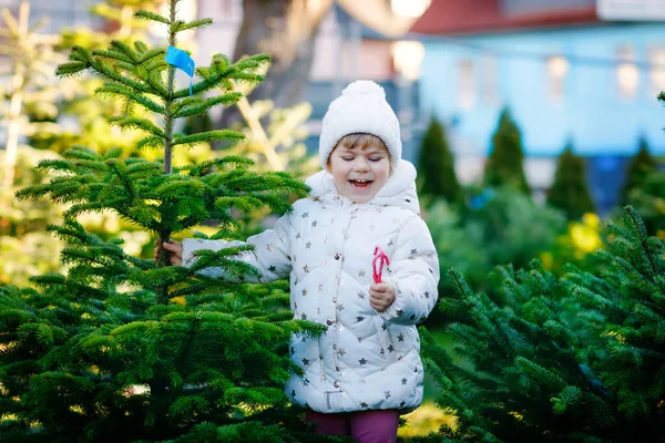 Adorable niña pequeña sosteniendo el árbol de Navidad y la caña de caramelo dulce en el mercado. Niño feliz en ropa de invierno elegir y comprar árbol de Navidad en la tienda al aire libre. Familia, tradición, celebración. —  Fotos de Stock