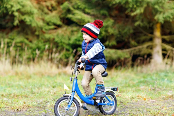 Kleine jongen in kleurrijke warme kleren in de herfst bos park rijden een fiets — Stockfoto