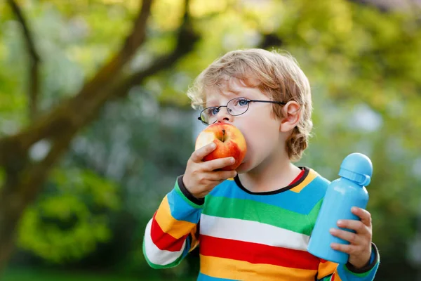 Gelukkige kleine kleuter met appel en drank fles op zijn eerste dag naar de basisschool of kinderkamer. Lachend kind, student met bril, buiten. Terug naar schoolonderwijsconcept. — Stockfoto