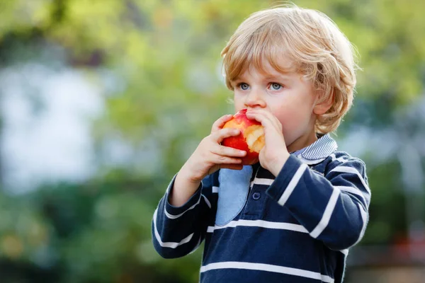 Glücklicher kleiner Vorschulkind mit Apfel an seinem ersten Tag in der Grundschule oder im Kindergarten. Lächelndes Kind, das Obst isst, draußen. Zurück zum Schulbildungskonzept. Gesundes Essen und Snacks für Kinder. — Stockfoto