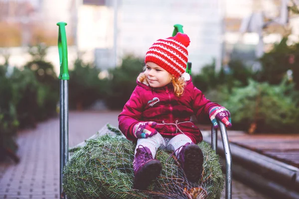 Entzückende kleine Mädchen mit Weihnachtsbaum auf Einkaufswagen oder Einkaufswagen auf dem Markt. Frohes gesundes Baby in Wintermode Kleidung auswählen und kaufen großen Weihnachtsbaum im Outdoor-Shop. — Stockfoto