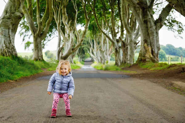 Nettes Kleinkind Mädchen zu Fuß an einem regnerischen Tag zu Beginn von The Dark Hedges. Nordirland. Glückliches Kind zu Besuch bei Eltern und Familie berühmte irische Baumallee — Stockfoto