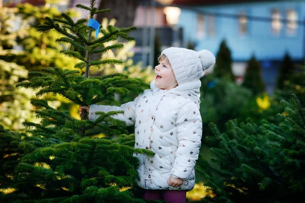 Adorable little toddler girl holding Christmas tree on market. Happy healthy baby child in winter fashion clothes choosing and buying big Xmas tree in outdoor shop. Family, tradition, celebration. — Stock Photo, Image