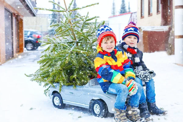 Twee kleine jongens in een speelgoedauto met een kerstboom. Gelukkige kinderen, broers en zussen, tweelingen, vrienden in de winter mode kleding brengen gehakte kerstboom uit besneeuwd bos. Familie, traditie, vakantie. — Stockfoto