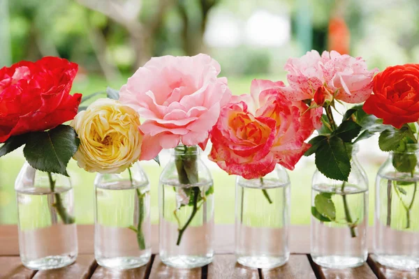 Variante oder Gruppe von Gartenrosen, die in kleinen Vasen oder Flaschen blühen. buntes Blumengesteck oder Dekoration in Regenbogenfarben. Haus oder Garten, Terrassendekoration. — Stockfoto