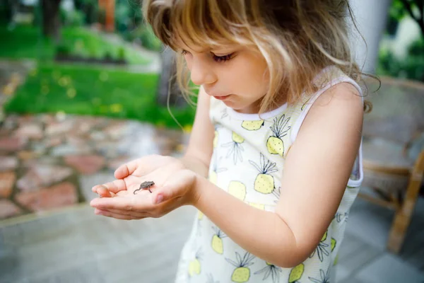 Pequena menina pré-escolar segurando pequena rã selvagem. Criança curiosa feliz assistindo e explorando animais na natureza. — Fotografia de Stock