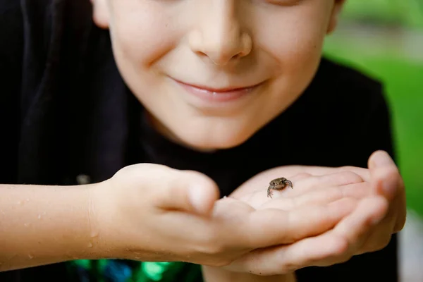 Menino pré-adolescente da escola bonita segurando pequena rã selvagem. Criança curiosa feliz assistindo e explorando animais na natureza. — Fotografia de Stock