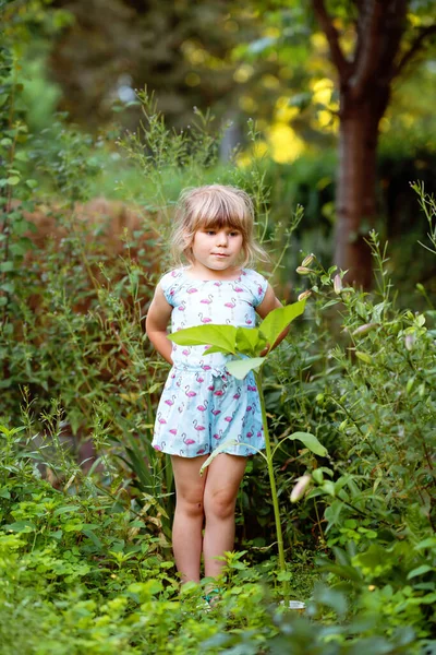 Piccola bambina in età prescolare piantare piantine di girasoli in giardino domestico. Bambino del bambino impara giardinaggio, piantare e coltivare fiori e piante. Bambini ed ecologia, concetto di ambiente. — Foto Stock