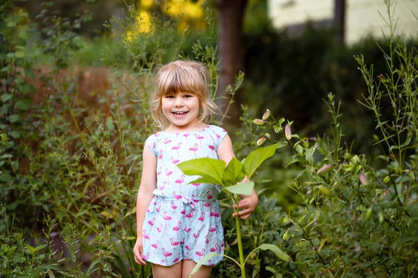 Little preschool girl planting seedlings of sunflowers in domestic garden. Toddler child learn gardening, planting and cultivating flower and plant. Kids and ecology, environment concept. — Stock Photo, Image