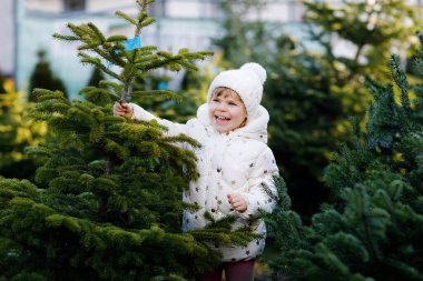 Piyasada Noel ağacı tutan sevimli küçük kız. Kışın giydiği kıyafetlerle, açık hava dükkanından büyük bir Noel ağacı seçip alan mutlu sağlıklı bir bebek. Aile, gelenek, kutlama.