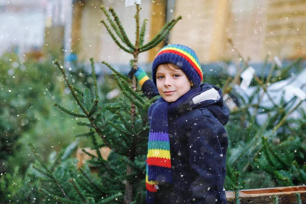 Adorable little smiling kid boy holding Christmas tree on market. Happy healthy child in winter fashion clothes choosing and buying big Xmas tree in outdoor shop. Family, tradition, celebration. — Stock Photo, Image