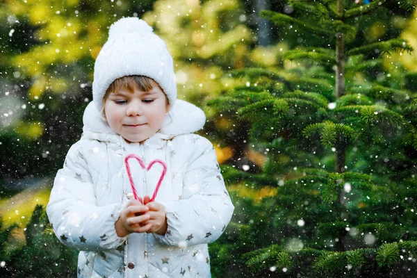 Adorable petite fille tout-petit tenant l'arbre de Noël et la canne à bonbons sucrée sur le marché. Enfant heureux en vêtements d'hiver choisir et acheter arbre de Noël dans la boutique en plein air. Famille, tradition, célébration. — Photo