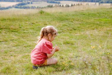 Little preschool girl running and walking through meadow with blooming field flowers, with view on hills and mountains. Happy toddler child having fun, outdoors family activity, hiking on summer day. clipart
