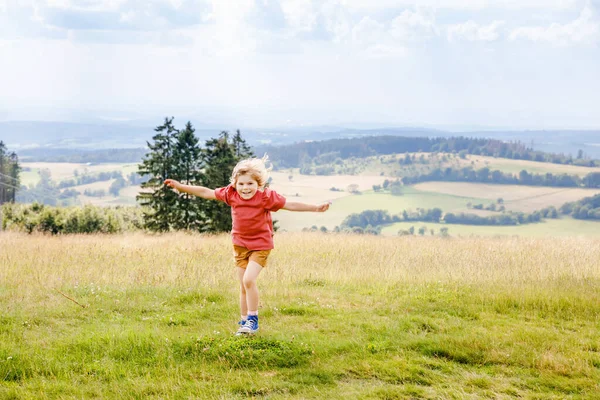 Little preschool girl running and walking through meadow with blooming field flowers, with view on hills and mountains. Happy toddler child having fun, outdoors family activity, hiking on summer day. — Stock Photo, Image