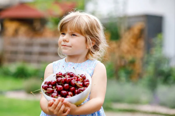 小さな就学前の女の子は庭の木から熟したチェリーを選んで食べています。幸せな幼児の子供は新鮮な果物を持っています。健康的な有機ベリーチェリーフルーツ、夏の収穫期. — ストック写真