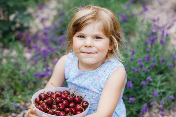 小さな就学前の女の子は庭の木から熟したチェリーを選んで食べています。幸せな幼児の子供は新鮮な果物を持っています。健康的な有機ベリーチェリーフルーツ、夏の収穫期. — ストック写真