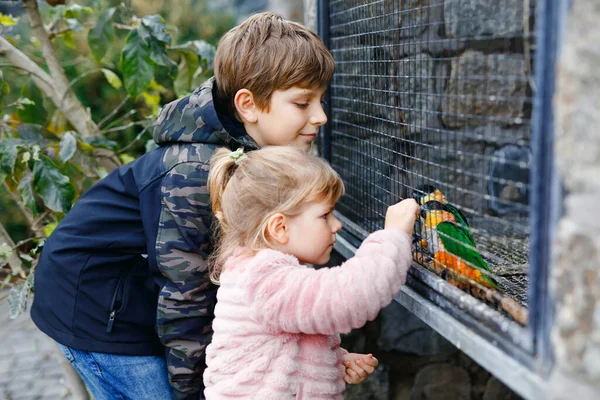 Dwoje szczęśliwych dzieci, rodzeństwo karmiące papugi w ogrodzie zoologicznym. Mała dziewczynka i chłopiec bawią się i karmią ufnymi, przyjaznymi ptakami w parku dzikiej przyrody. Brat i siostra uczą się o papudze. — Zdjęcie stockowe