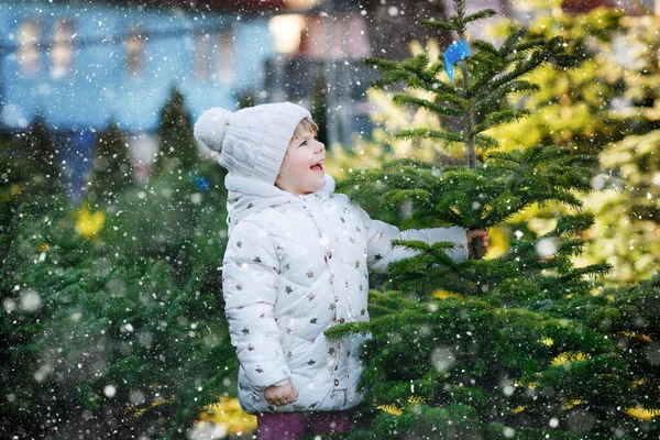 Adorable little toddler girl holding Christmas tree on market. Happy healthy baby child in winter fashion clothes choosing and buying big Xmas tree in outdoor shop. Family, tradition, celebration. — Stock Photo, Image