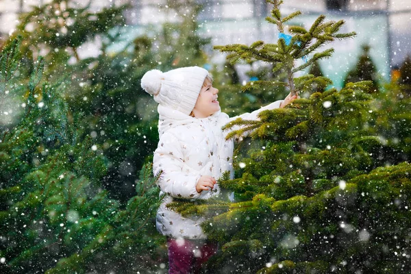 可爱的小女孩抱着圣诞树在市场上。快乐健康的宝宝穿着冬季时尚服装在户外商店挑选和购买大圣诞树。家庭、传统、庆祝活动. — 图库照片