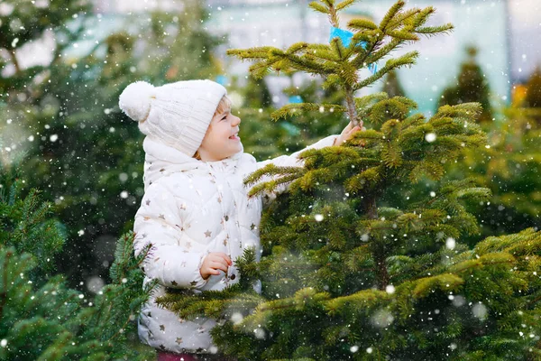 Entzückendes kleines Mädchen mit Weihnachtsbaum auf dem Markt. Frohes gesundes Baby in Wintermode Kleidung wählen und kaufen großen Weihnachtsbaum im Outdoor-Shop. Familie, Tradition, Feier. — Stockfoto