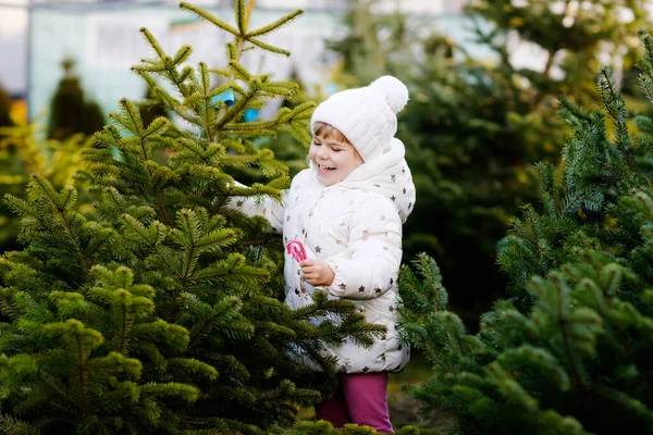 Entzückendes kleines Mädchen mit Weihnachtsbaum auf dem Markt. Frohes gesundes Baby in Wintermode Kleidung wählen und kaufen großen Weihnachtsbaum im Outdoor-Shop. Familie, Tradition, Feier. — Stockfoto