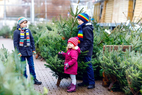 Drei kleine Geschwister: ein kleines Mädchen und zwei kleine Jungen, die den Weihnachtsbaum auf dem Markt halten. Glückliche Kinder in Winterkleidung suchen und kaufen Bäume im Outdoor-Shop. Familie, Tradition, Feier — Stockfoto