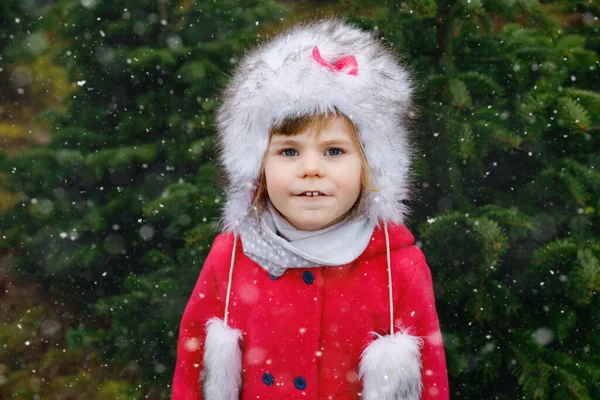 Adorable little toddler girl with Christmas tree on fir tree cutting plantation . Happy child in winter fashion clothes choosing, cut and felling own xmas tree in forest, family tradition in Germany — Stock Photo, Image