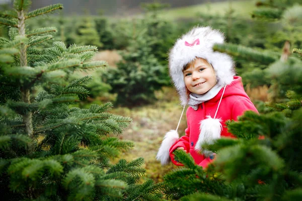 Adorable little toddler girl with Christmas tree on fir tree cutting plantation . Happy child in winter fashion clothes choosing, cut and felling own xmas tree in forest, family tradition in Germany — Stock Photo, Image