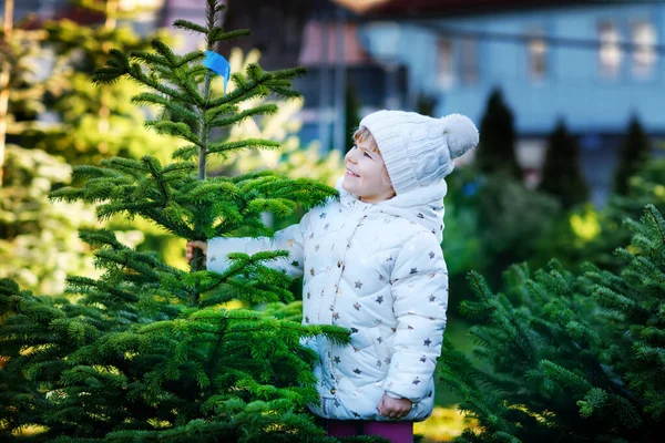 Roztomilé malé batole dívka drží vánoční stromeček na trhu. Šťastné zdravé dítě v zimě módní oblečení výběru a nákup velký vánoční strom ve venkovním obchodě. Rodina, tradice, oslavy. — Stock fotografie