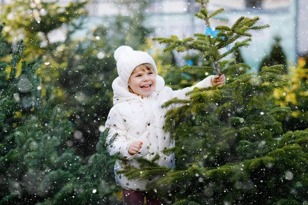 Очаровательная маленькая девочка держит рождественскую елку на рынке. Счастливый здоровый ребенок в зимней модной одежде, выбирая и покупая большую новогоднюю елку в магазине под открытым небом. Семья, традиции, праздник. — стоковое фото