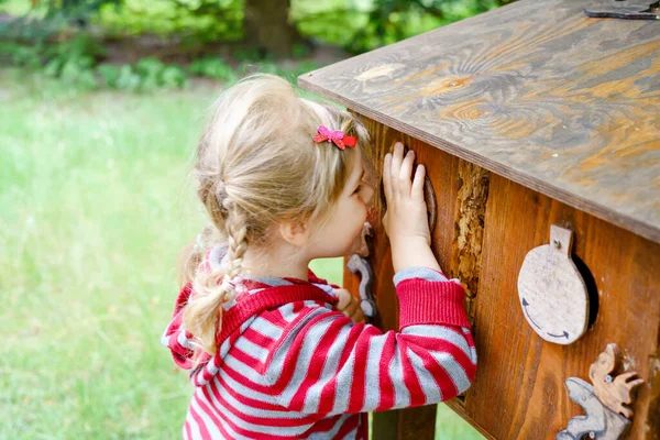 Little preschool girl exploring life of squirrels in forest. Active happy child learning about food of animals. Children and environment, forest life and wild nature. — Stock Photo, Image