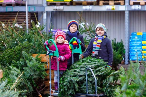 Tres hermanos pequeños: niña y dos niños sosteniendo el árbol de Navidad en el mercado. Niños felices en ropa de invierno elegir y comprar árbol en la tienda al aire libre. Familia, tradición, celebración —  Fotos de Stock