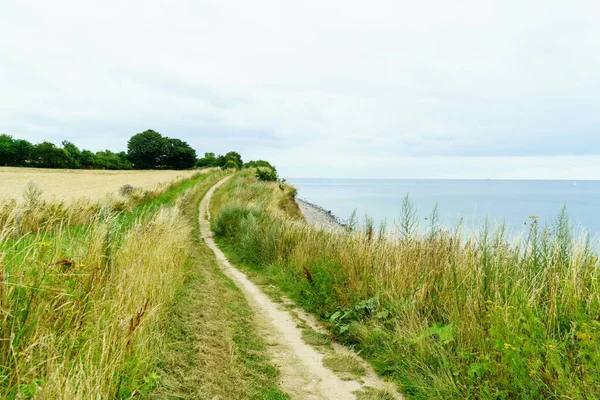 Linea costiera del Mar Baltico in Germania. Bellissimo paesaggio naturale selvaggio. — Foto Stock