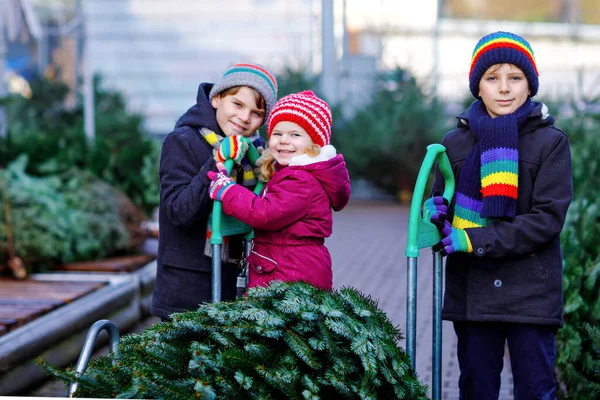 Drei kleine Geschwister: ein kleines Mädchen und zwei kleine Jungen, die den Weihnachtsbaum auf dem Markt halten. Glückliche Kinder in Winterkleidung suchen und kaufen Bäume im Outdoor-Shop. Familie, Tradition, Feier — Stockfoto