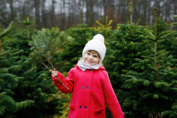 Adorable little toddler girl with Christmas tree on fir tree cutting plantation . Happy child in winter fashion clothes choosing, cut and felling own xmas tree in forest, family tradition in Germany — Stock Photo, Image