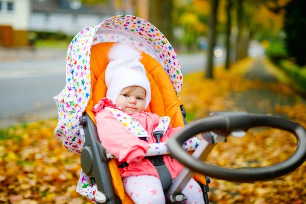 Bonito pequena menina bonita sentada no carrinho de bebê ou carrinho no dia de outono. Criança sã feliz que vai para um passeio no ar puro na roupa quente. Bebê com árvores de bordo de queda amarela em roupas coloridas — Fotografia de Stock