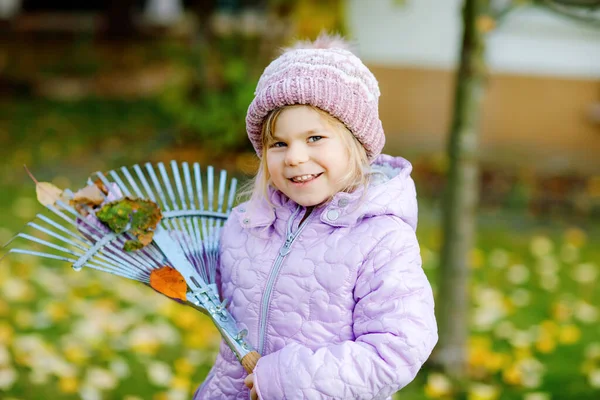 秋の庭や公園で熊手で働く小さな幼児の女の子。倒れた木の葉の助けを借りて楽しい幸せな健康な子供。屋外でかわいいヘルパー。子供の学習は親を — ストック写真