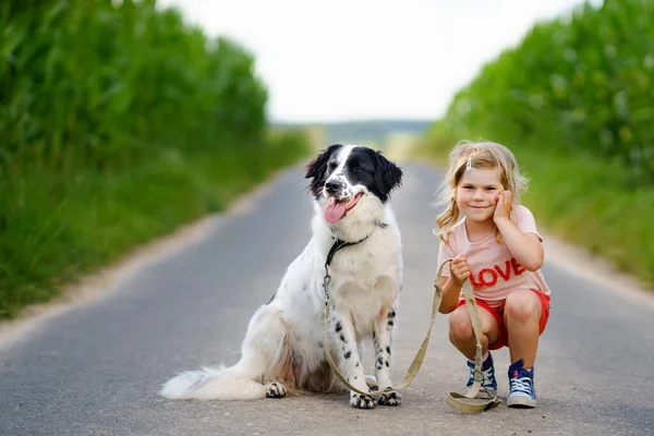 Jolie petite fille d'âge préscolaire qui va se promener avec un chien de famille dans la nature. Joyeux enfant souriant s'amuser avec le chien, embrasser. Joyeux famille à l'extérieur. Amitié et amour entre animaux et enfants — Photo