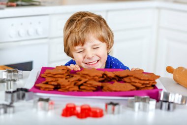 Kreş çocuğu zencefilli kurabiye pişiriyor. Xmas süveter giyen mutlu, yeni yürümeye başlayan çocuk. Mutfak Noel için dekore edildi. Noel aile aktivitesi