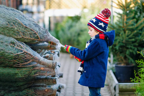 Очаровательный маленький улыбающийся мальчик держит рождественскую елку на рынке. Счастливый здоровый ребенок в зимней модной одежде выбирает и покупает большую новогоднюю елку в магазине под открытым небом. Семья, традиции, праздник. — стоковое фото
