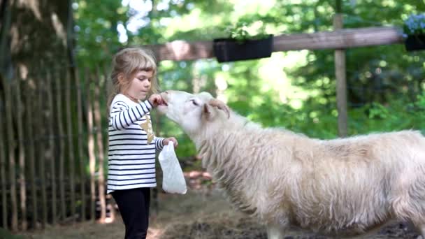 Entzückende niedliche Vorschulmädchen füttern kleine wilde Ziegen in einem wilden Tier Waldpark. Glückliches Kind Streicheltiere an einem Sommertag. Aufgeregtes und glückliches Mädchen am Familienwochenende, Kinderaktivität im Sommer.