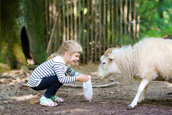 Adorável menina pré-escolar bonito alimentando pequenas ovelhas selvagens em um parque florestal animal selvagem. Criança feliz animais de estimação no dia de verão. Garota excitada e feliz no fim de semana da família, atividade das crianças no verão. — Fotografia de Stock