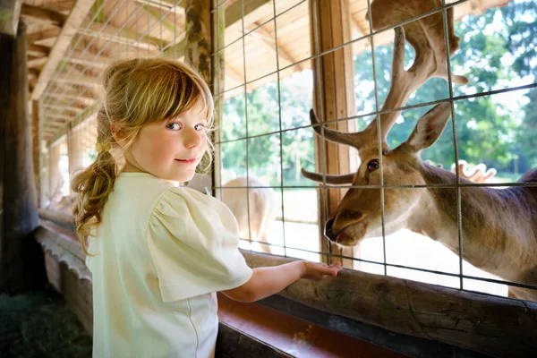 Urocza dziewczyna z przedszkola karmiąca dzikie jelenie w parku leśnym. Szczęśliwe dziecko pieszczoty zwierząt w letni dzień. Podekscytowana i szczęśliwa dziewczyna na rodzinny weekend, zajęcia dla dzieci w lecie. — Zdjęcie stockowe