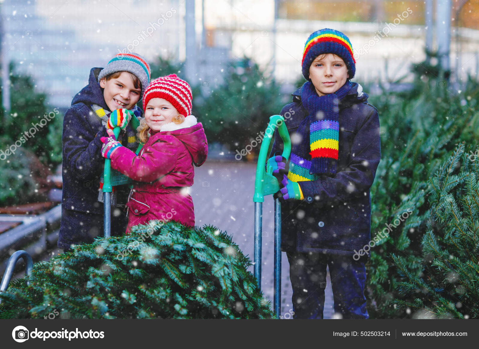 Tres hermanos pequenos nina y dos ninos sosteniendo el arbol de Navidad en el mercado. Ninos