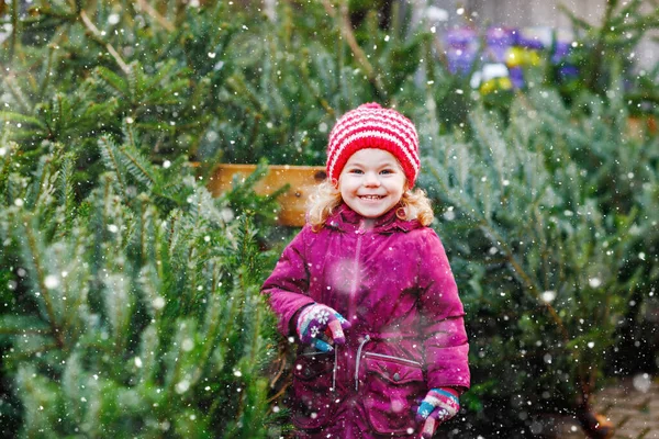 Adorable little toddler girl holding Christmas tree on market. Happy healthy baby child in winter fashion clothes choosing and buying big Xmas tree in outdoor shop. Family, tradition, celebration. — Stock Photo, Image