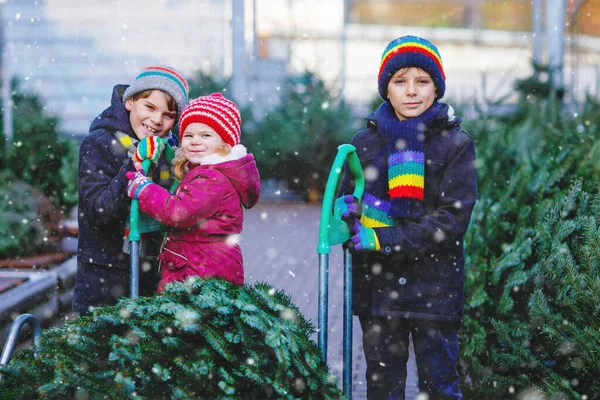 Troje małych rodzeństwa: dziewczynka i dwóch chłopców trzymających choinkę na rynku. Szczęśliwe dzieci w zimowych ubraniach wybierając i kupując drzewo w sklepie na świeżym powietrzu. Rodzina, tradycja, święto — Zdjęcie stockowe