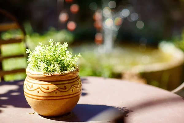 Provençaalse tuin van kleine typische stad in Provence, Frankrijk. Mooi dorpje, met franse schattige details. — Stockfoto