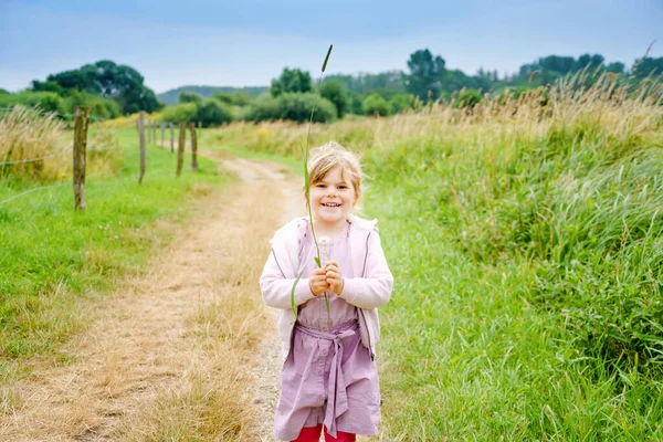 Happy little toddler girl running in nature, summer walk through fields, outdoors. Funny preschool child hild having fun with running, walking, jumping on summer day. Active family leisure in summer. — Stock Photo, Image