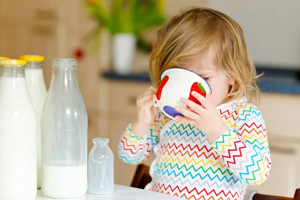 사랑 스러운 아장아장 걷는 소녀가 아침 식사로 소젖을 마신다. 젖병 이 많은 귀여운 딸을 요. 건강 한 아이가 우유를 건강 한 칼슘 공급원으로 가지고 있습니다. 아침에 집에 있거나 보육원에 있는 아이들. — 스톡 사진