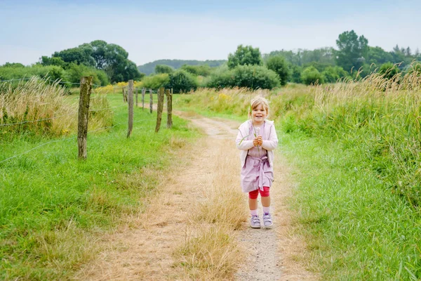 Pequeña niña feliz corriendo en la naturaleza, paseo de verano por los campos, al aire libre. Divertido niño preescolar hild divertirse con correr, caminar, saltar en el día de verano. Ocio familiar activo en verano. —  Fotos de Stock